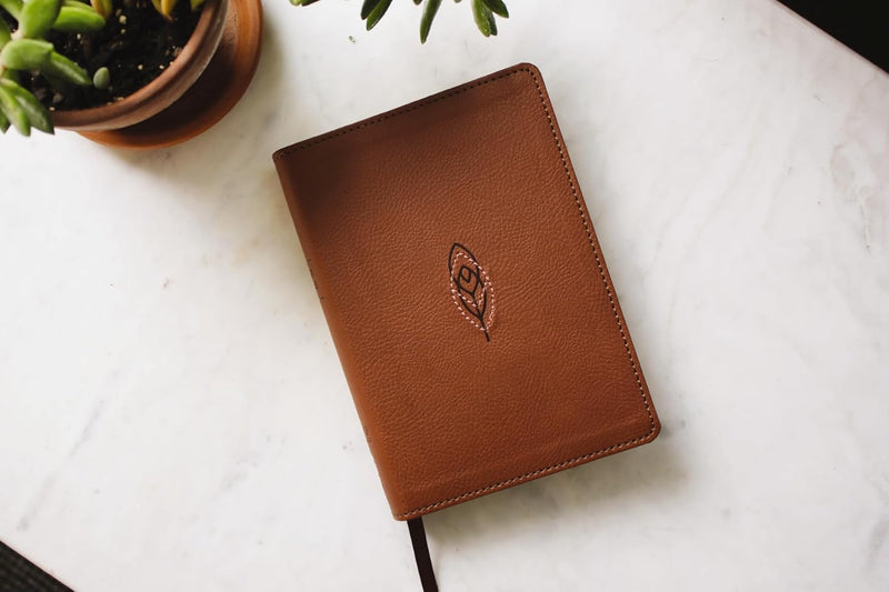 NRSVue, Holy Bible (Leathersoft, Brown, Comfort Print) by Zondervan