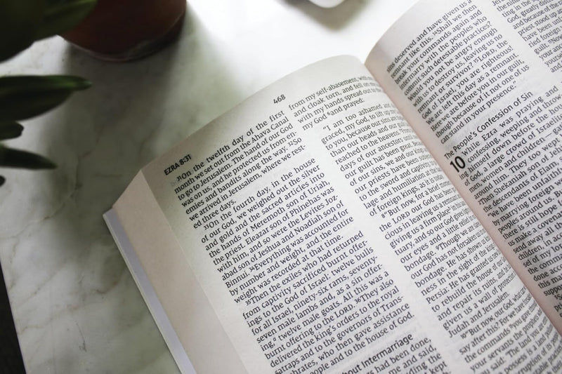 NIV Holy Bible – Larger Print Economy Edition by Zondervan