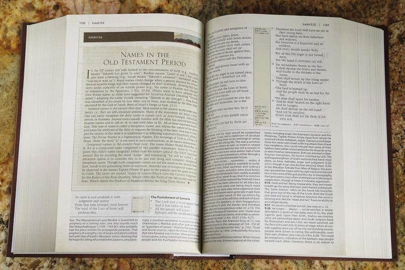 NKJV, Cultural Backgrounds Study Bible, Red Letter Edition by Craig S. Keener