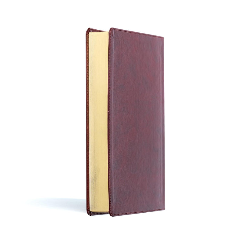 KJV Rainbow Study Bible – Burgundy Leather touch by Holman Bible Publishers