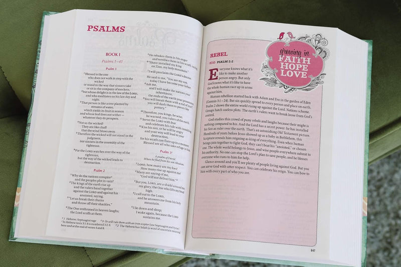 NIV Bible for Teen Girls by Zondervan