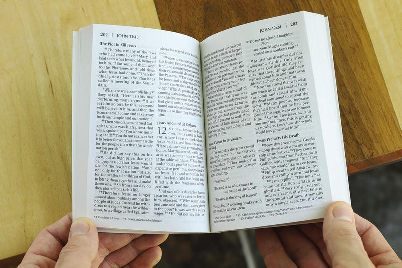 NIV Essentials of the Christian Faith, New Testament by Zondervan