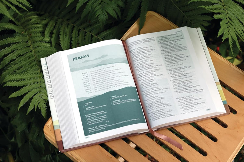 Rooted: The NIV Bible for Men by Livingstone Corporation