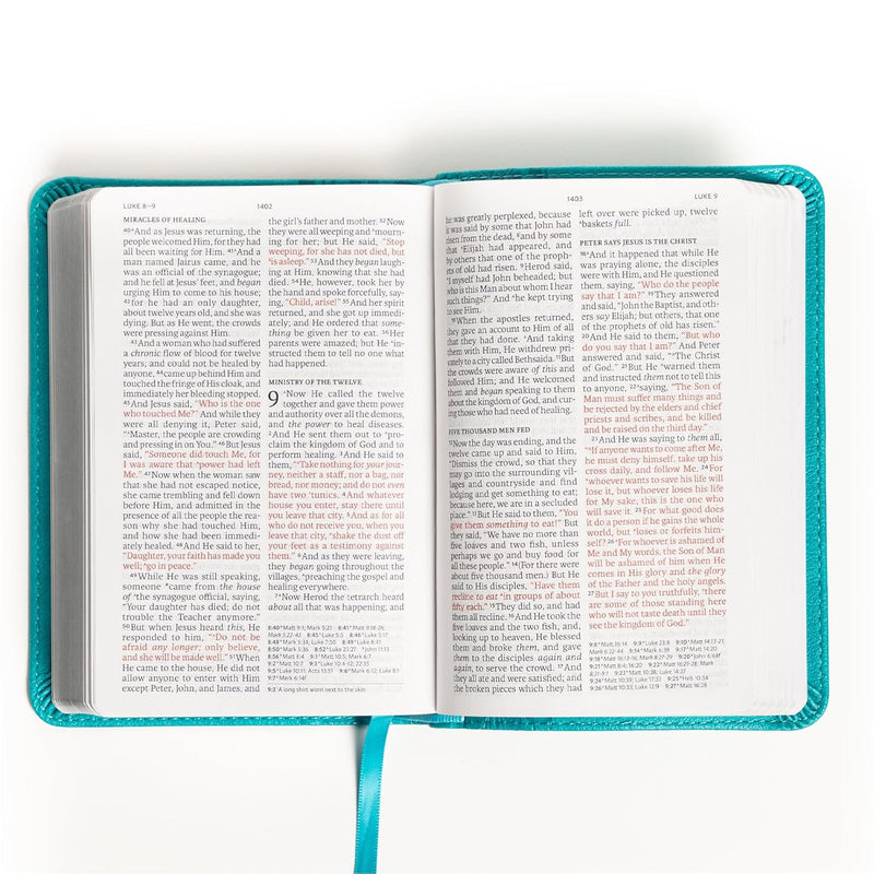 New American Standard Bible (NASB), 2020 Edition by Holman Bible Publishers
