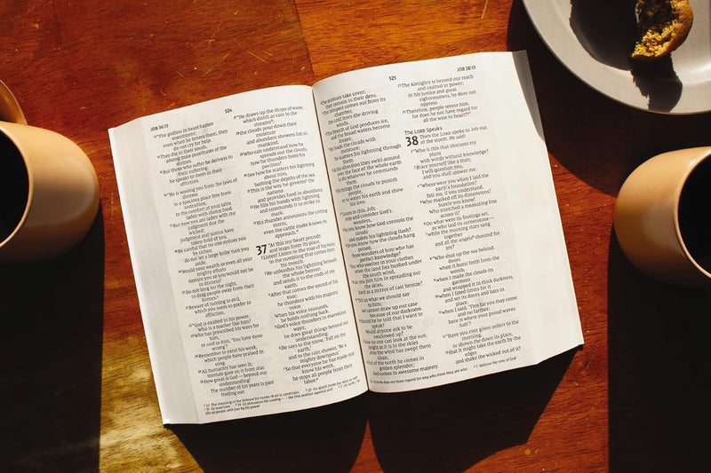 NIV outreach bible larger print comfort edition by zondervan