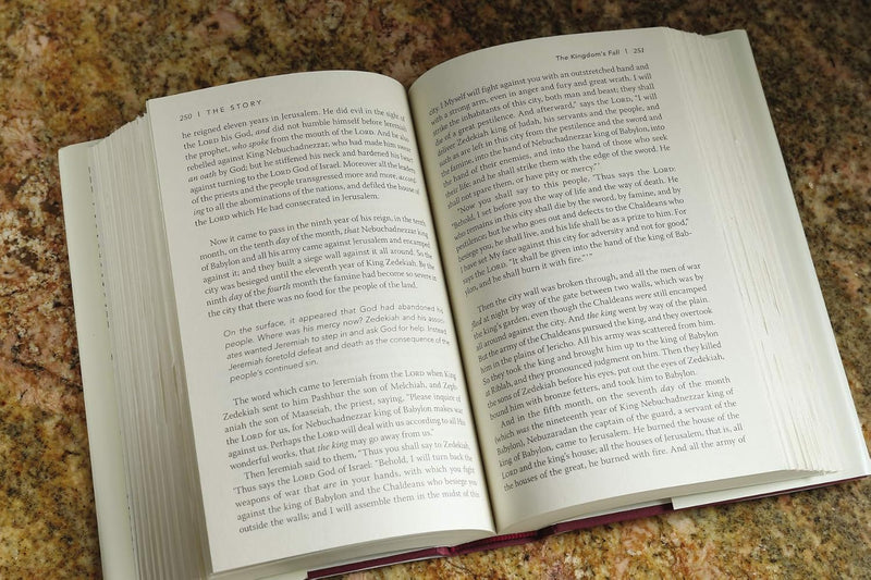 NKJV, The Story: The Bible as One Continuing Story of God and His People by Max Lucado &amp; Randy Frazee