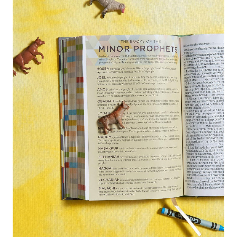 KJV-Kinderbibel, Hardcover von Holman Bible Publishers