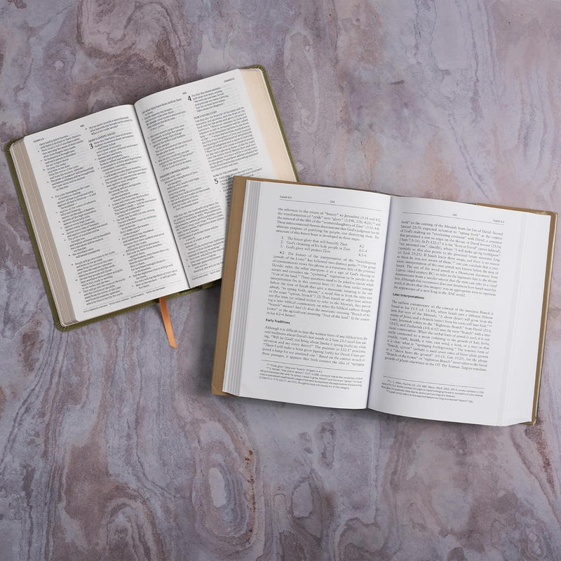 Isaiah 1–39: The Christian Standard Commentary by Gary V. Smith