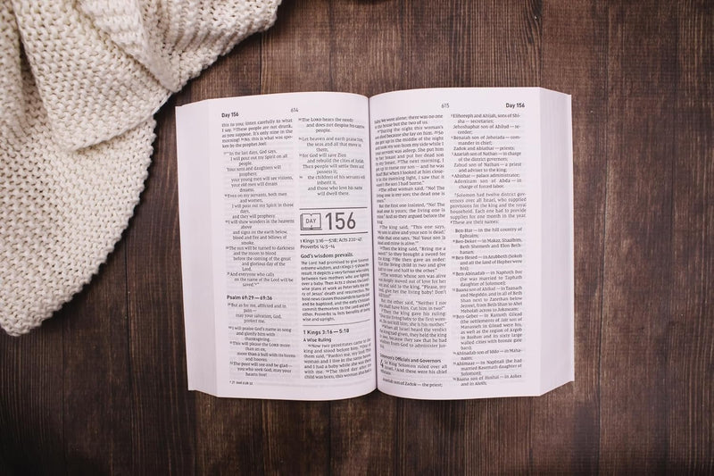 NIV Daily Scripture: Comfort Print – White/Sage by Zondervan