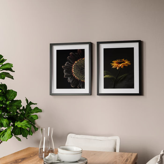 IKEA RODALM Frame with poster, sunflowers, 40x50 cm (15 ¾x19 ¾ ")