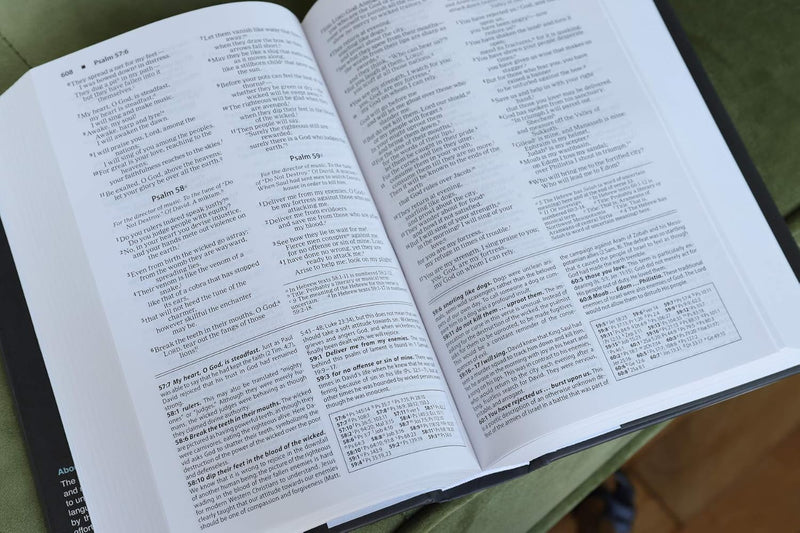 Foundation Study Bible – New International Version (NIV)  by Zondervan)