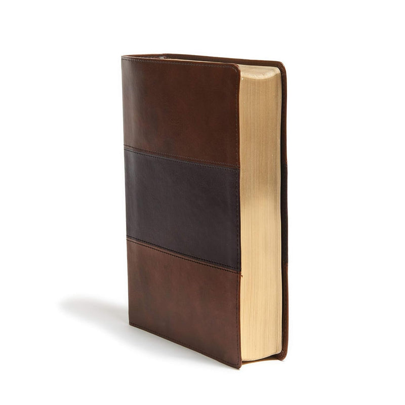 KJV Study Bible, Full-Color, Saddle Brown LeatherTouch by Holman Bible Publishers