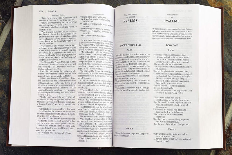 KJV AMP Paragraph Bible, Large Print, Hardcover  by Zondervan