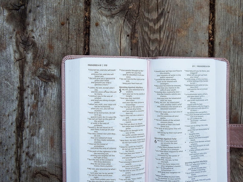 NIV Pocket Thinline Bible by Zondervan