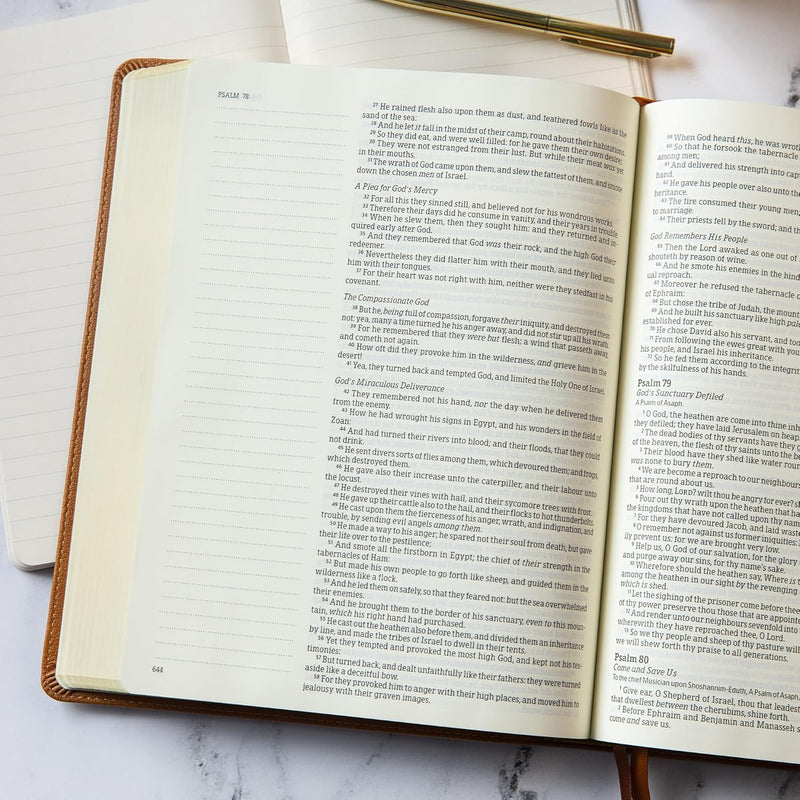 KJV Notetaking Bible, Large Print Edition, Camel Leather Touch by Holman Bible Publishers