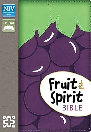Fruit of the Spirit Bible – NIV by Zondervan