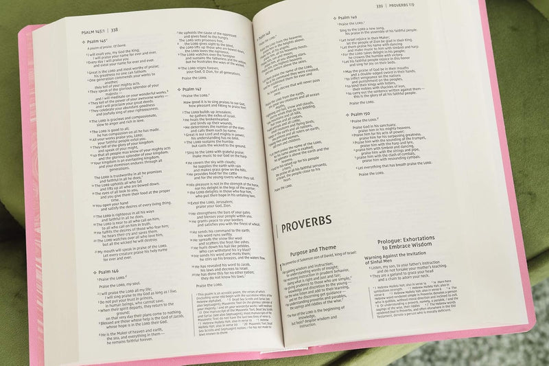 NIV Gift and Award Bible – Leather-Look, Pink, Red Letter Edition  by Zondervan