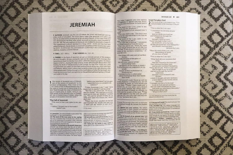 NIV Basic Study Bible – Economy Edition by Zondervan