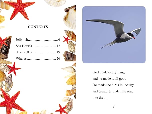 Sea Creatures: Level 2 (I Can Read! / Made By God) by Zondervan