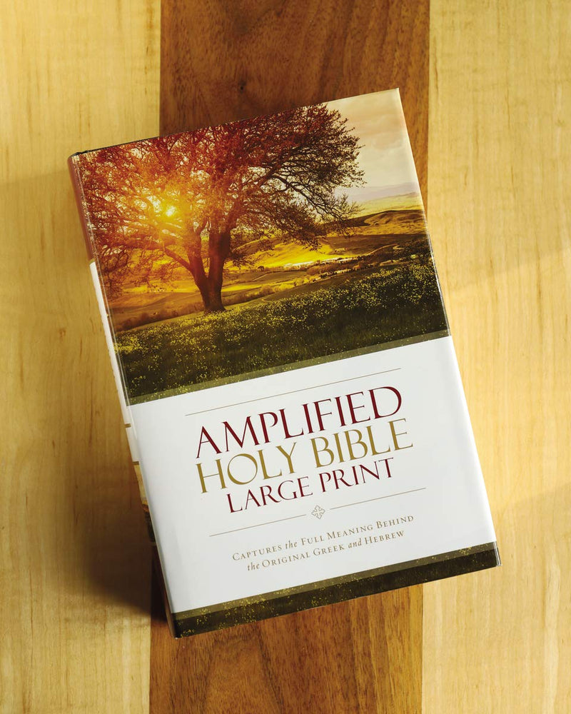 Amplified Holy Bible (Large Print Hardcover Edition)  by Zondervan