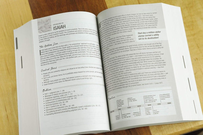 Holy Bible: New International Version, Revealing God and How You Fit Into His Plan by Zondervan