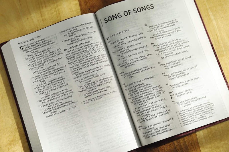 NIV, Value Thinline Bible, Large Print by Zondervan