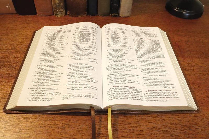 NRSVue Holy Bible with Apocrypha by Zondervan