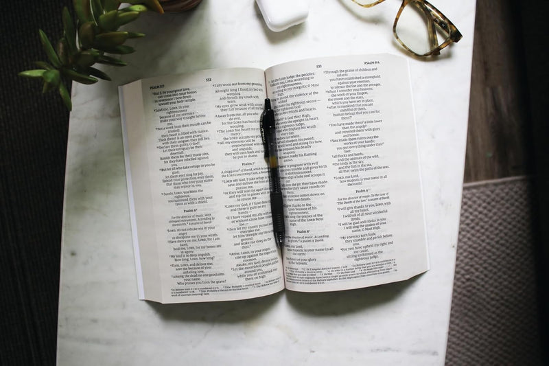 NIV Holy Bible – Larger Print Economy Edition by Zondervan