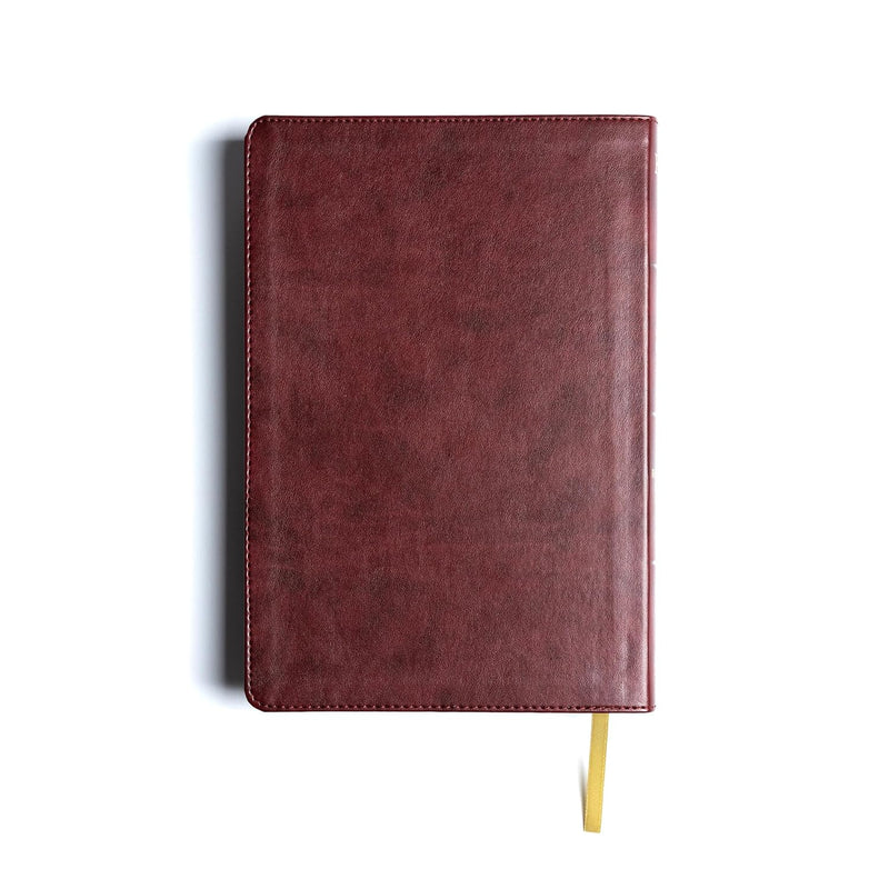 KJV Rainbow Study Bible – Burgundy Leather touch by Holman Bible Publishers