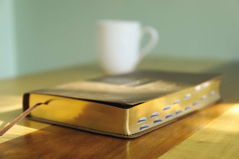 NIV Premium Gift Bible by Zondervan