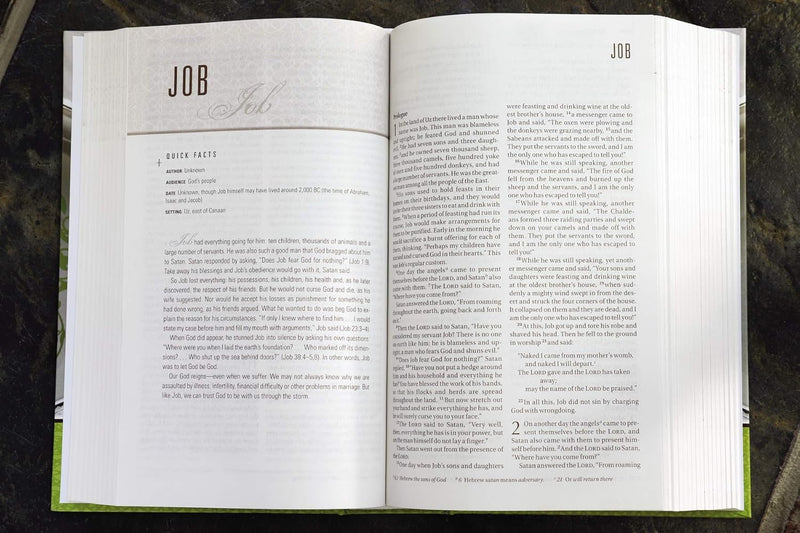 NIV Couples' Devotional Bible by Zondervan