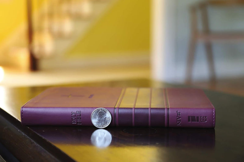 NIV Value Thinline Bible by Zondervan