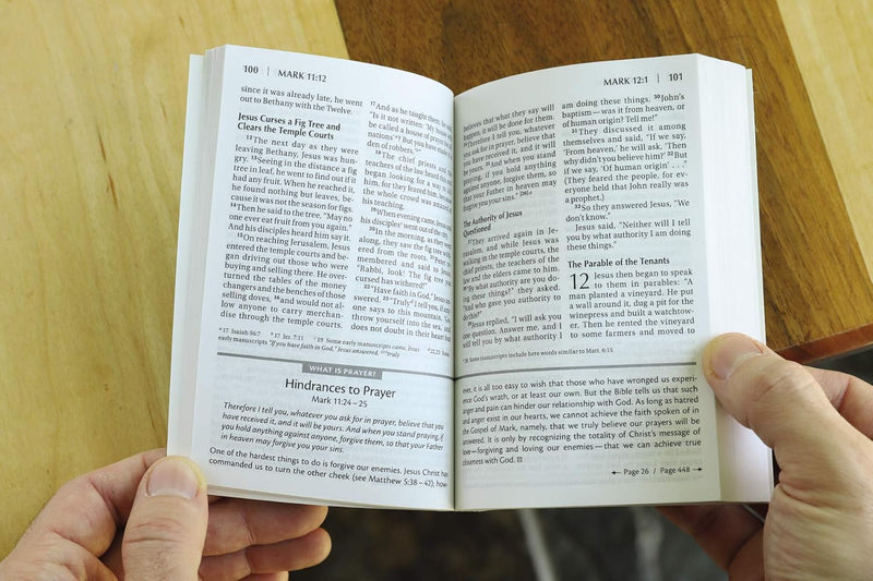 NIV Essentials of the Christian Faith, New Testament by Zondervan