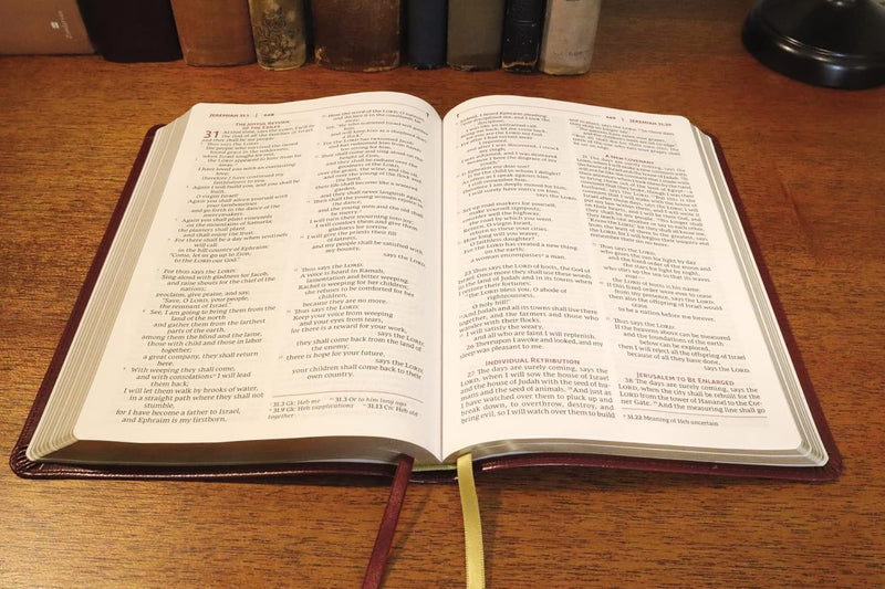 NRSVue, Heilige Bibel, Lederweich, Burgunderrot, Komfortdruck: Neue überarbeitete Standardversion von Zondervan