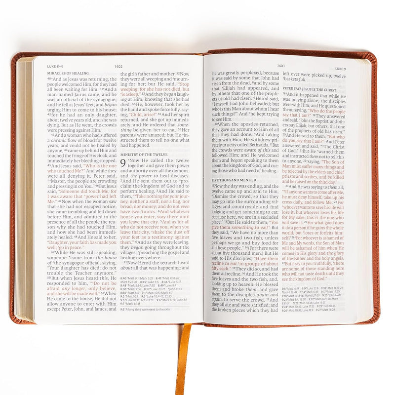 New American Standard Bible (NASB), 2020 Edition  by Holman Bible Publishers