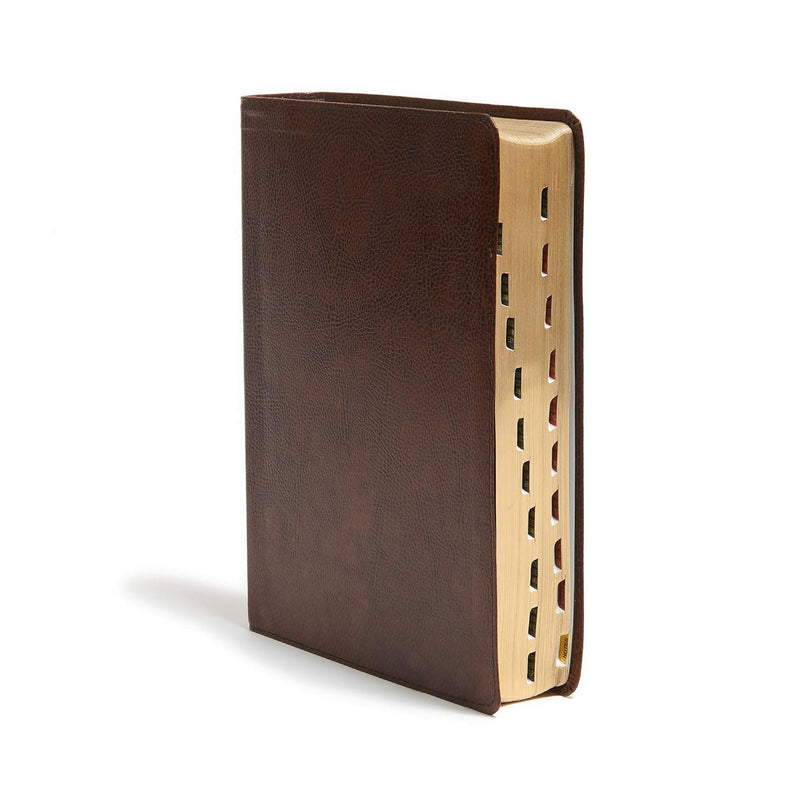 KJV Study Bible, Full-Color, Brown Bonded Leather, Indexed by Holman Bible Publishers