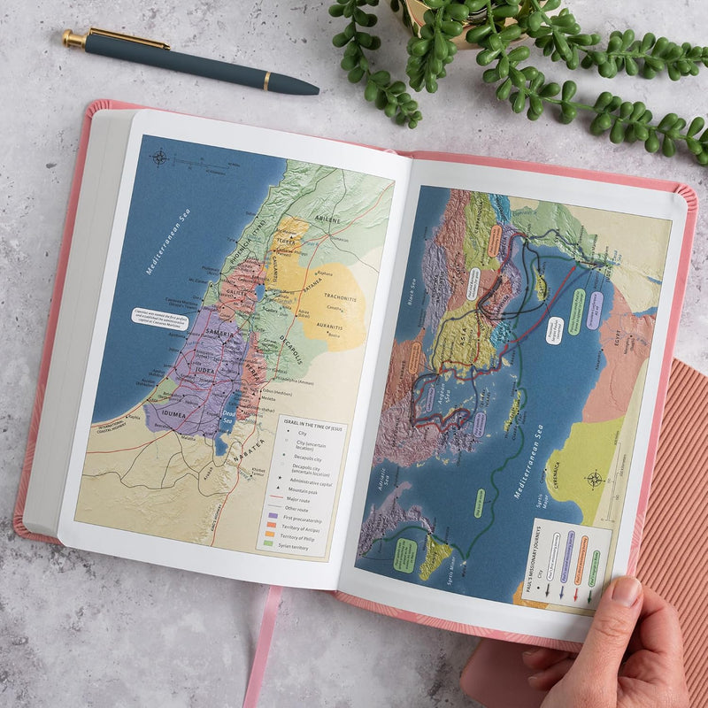 NASB Large Print Thinline Bible, Value Edition, Soft Pink Leathertouch by Holman Bible Publishers