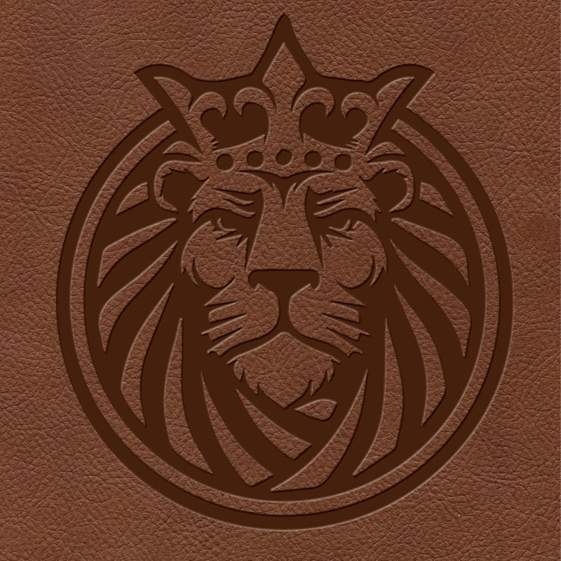 Holy Bible: King James Version, Kids Bible by Holman Bible Publishers