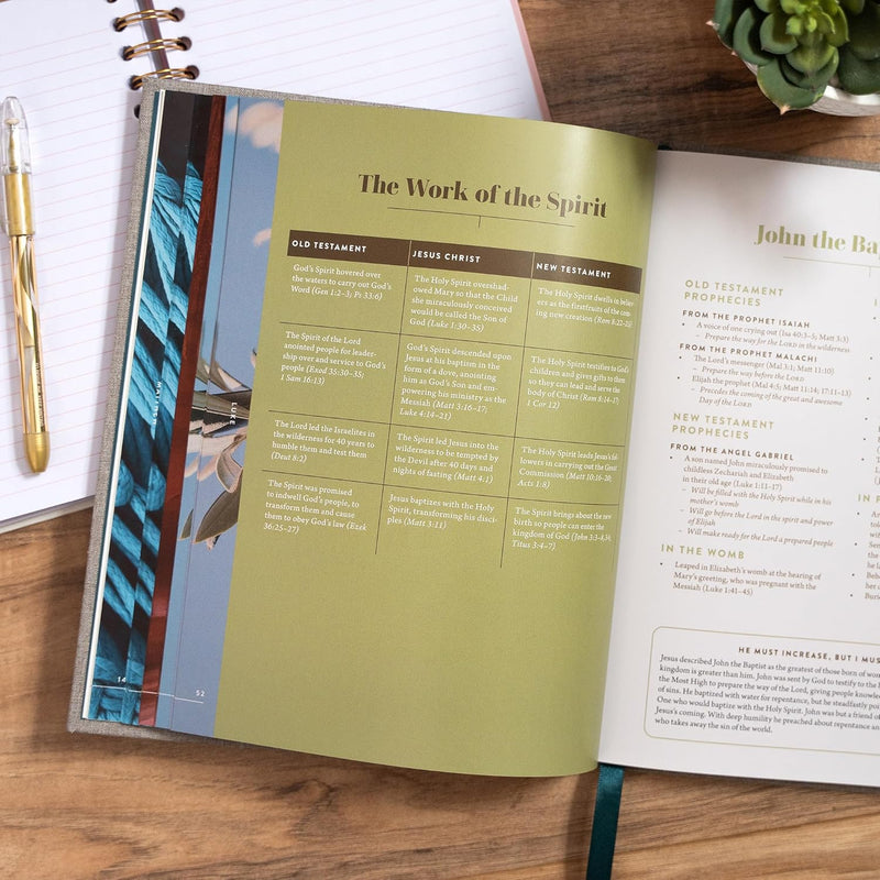 The New Testament Handbook: A Visual Guide Through the New Testament by Holman Reference