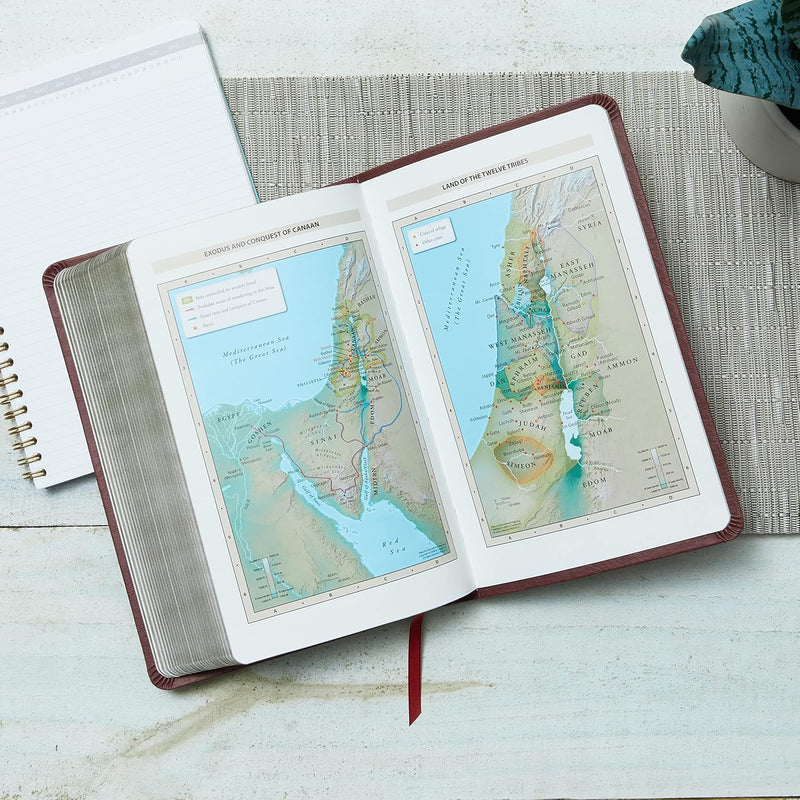 NKJ Thinline Reference Bible, Burgundy, Leathersoft by Thomas Nelson