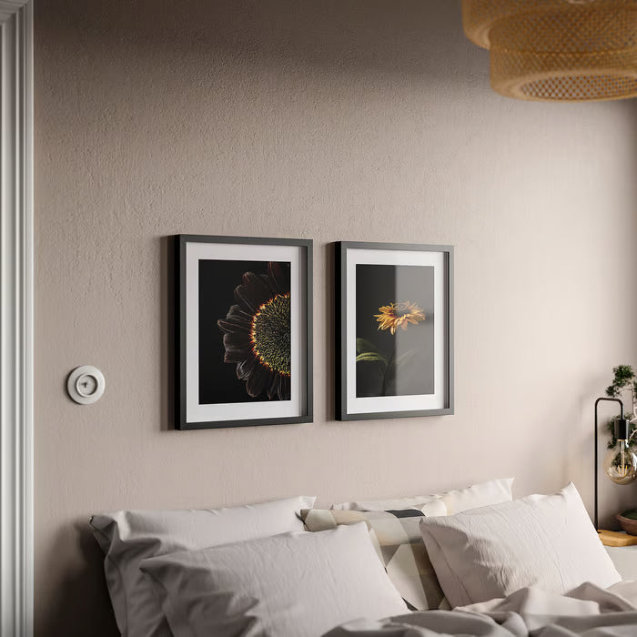 IKEA RODALM Frame with poster, sunflowers, 40x50 cm (15 ¾x19 ¾ ")