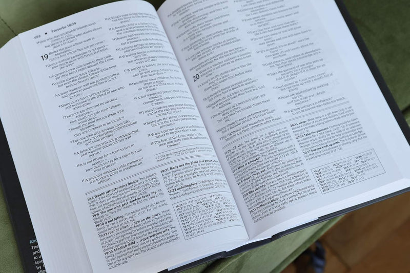 Foundation Study Bible – New International Version (NIV)  by Zondervan)