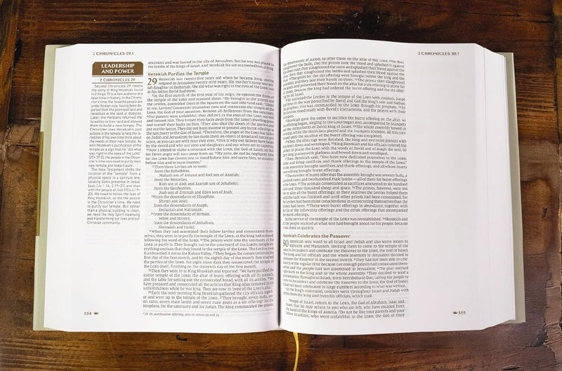 NIV Upside‑Down Kingdom Bible: Think Deeply // Love Widely by Zondervan