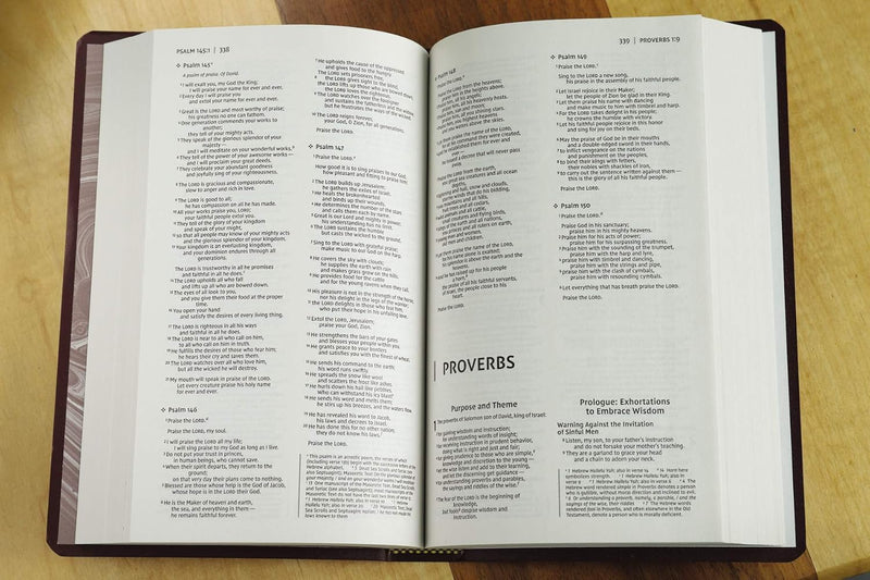 NIV Gift and Award Bible – Leather-Look, Burgundy, Red Letter by Zondervan