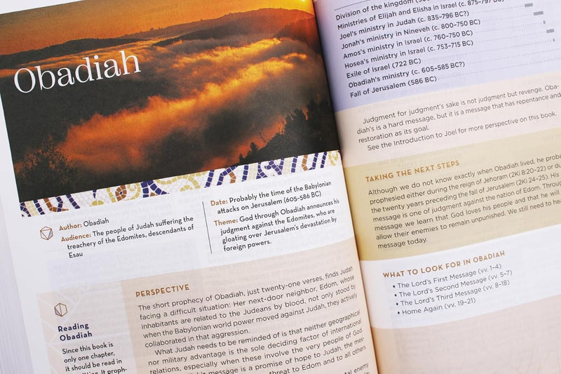 Heilige Bibel: Neue internationale Version, Mehrfarbig, Rote Buchstaben, Komfortdruck, Bringt die alte Botschaft der Bibel in Ihre Welt von Zondervan