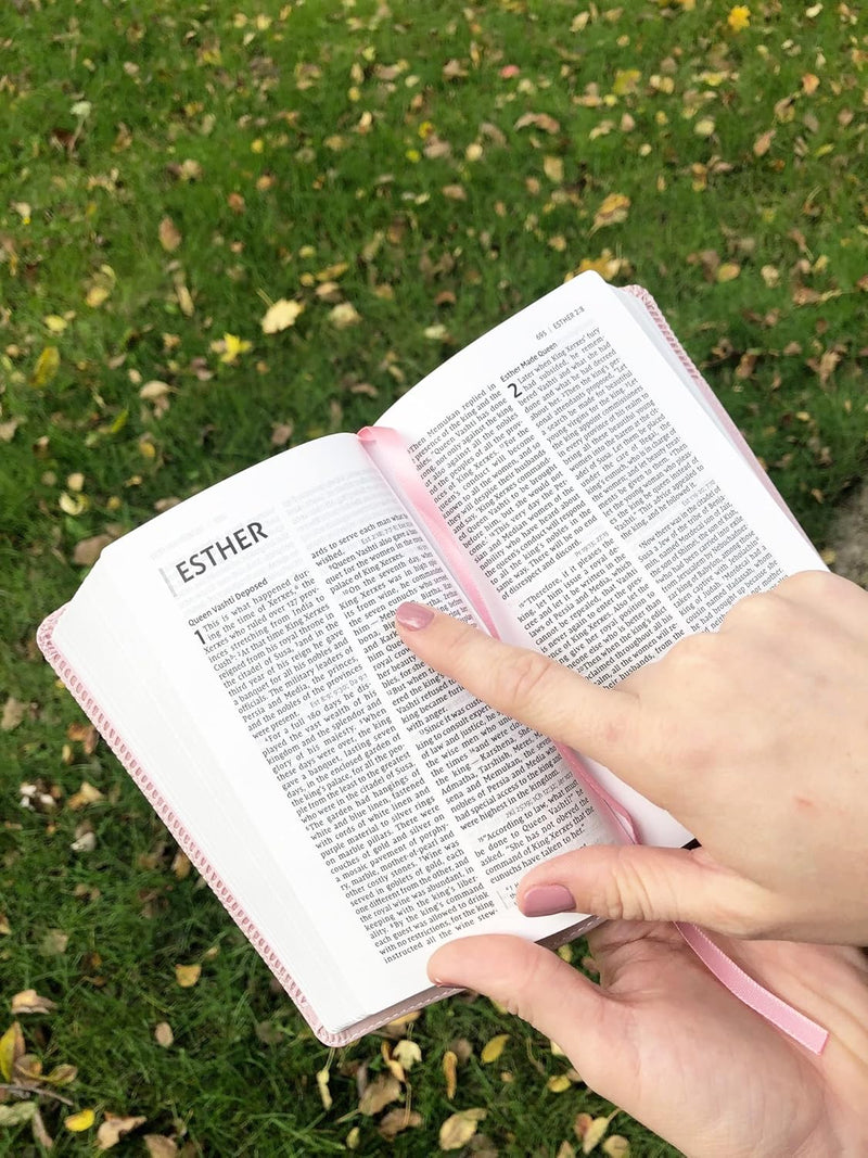 NIV Bible by Zondervan