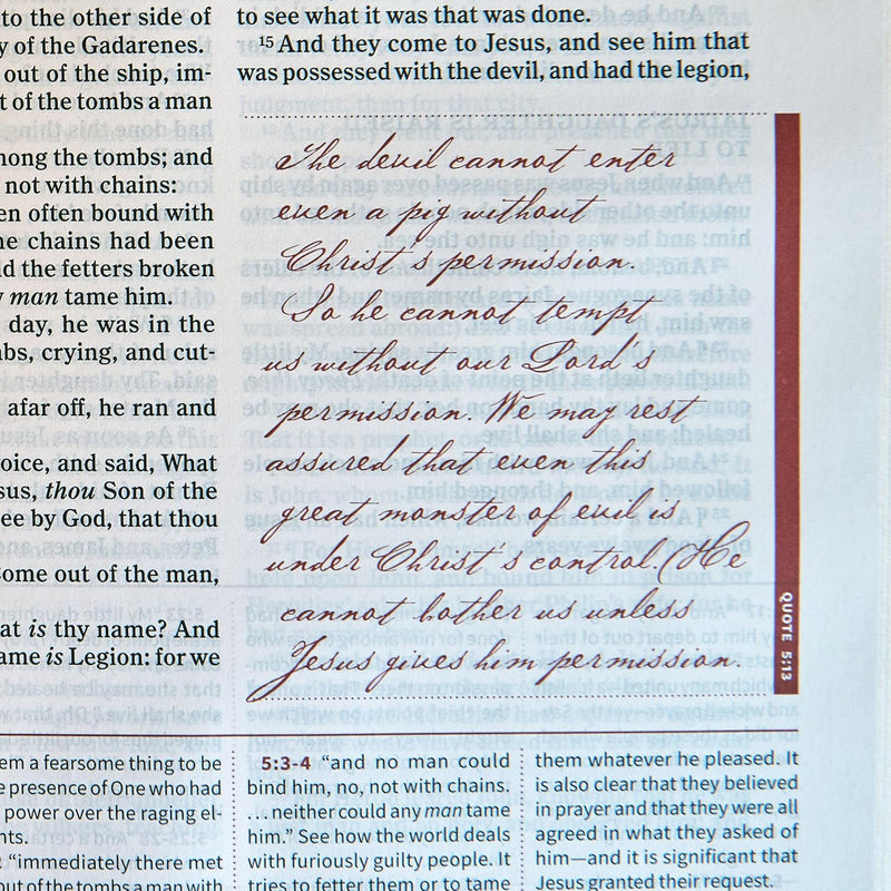 KJV Spurgeon Study Bible – Tan Leathertouch by Holman Bible Publishers