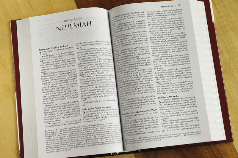 Amplified Holy Bible  by Zondervan