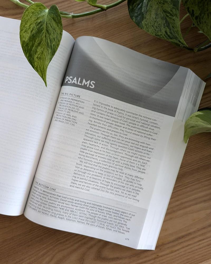 The Life Recovery Bible: New Living Translation by Tyndale House Publishers, Inc.