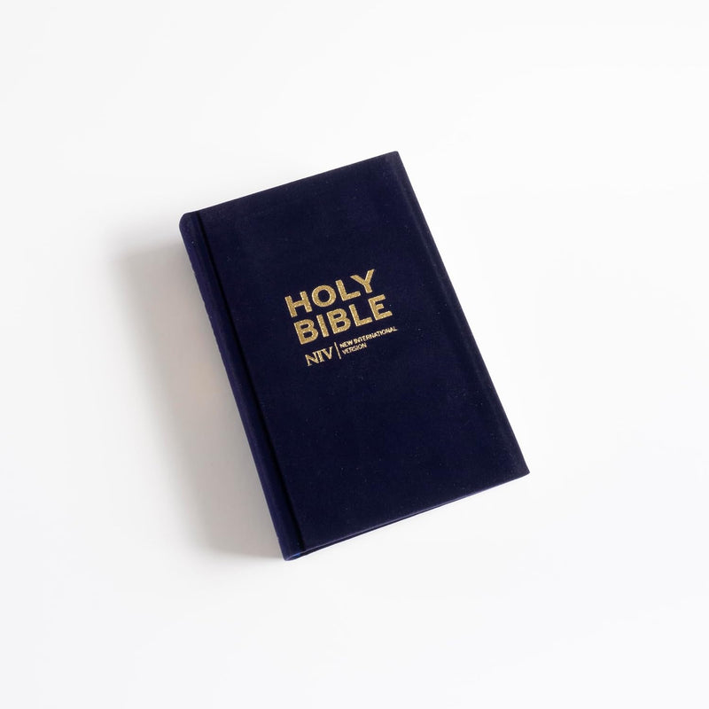 NIV Larger Print Personal Velvet Bible by New International Version